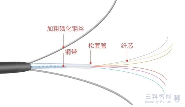 黄瓜视频下载地址光纖